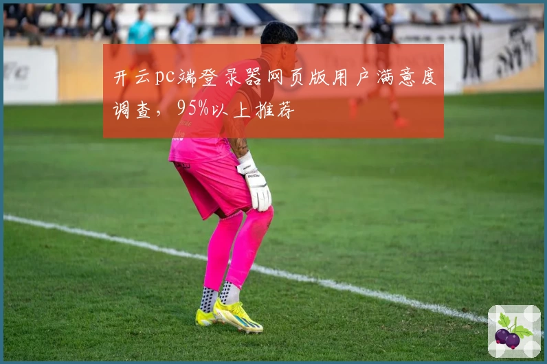 开云pc端登录器网页版用户满意度调查，95%以上推荐