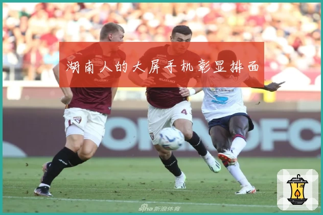 湖南人的大屏手机彰显排面