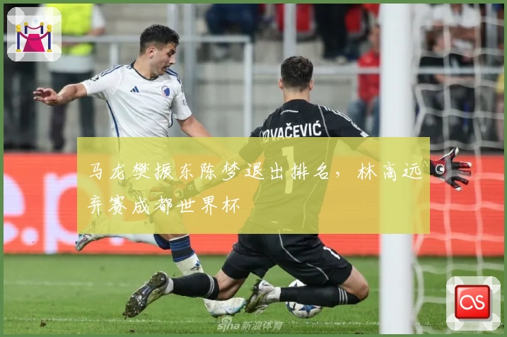 马龙樊振东陈梦退出排名,林高远弃赛成都世界杯