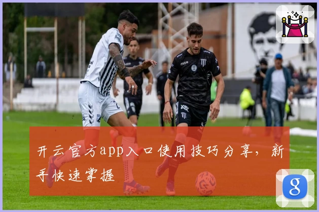 开云官方app入口使用技巧分享，新手快速掌握